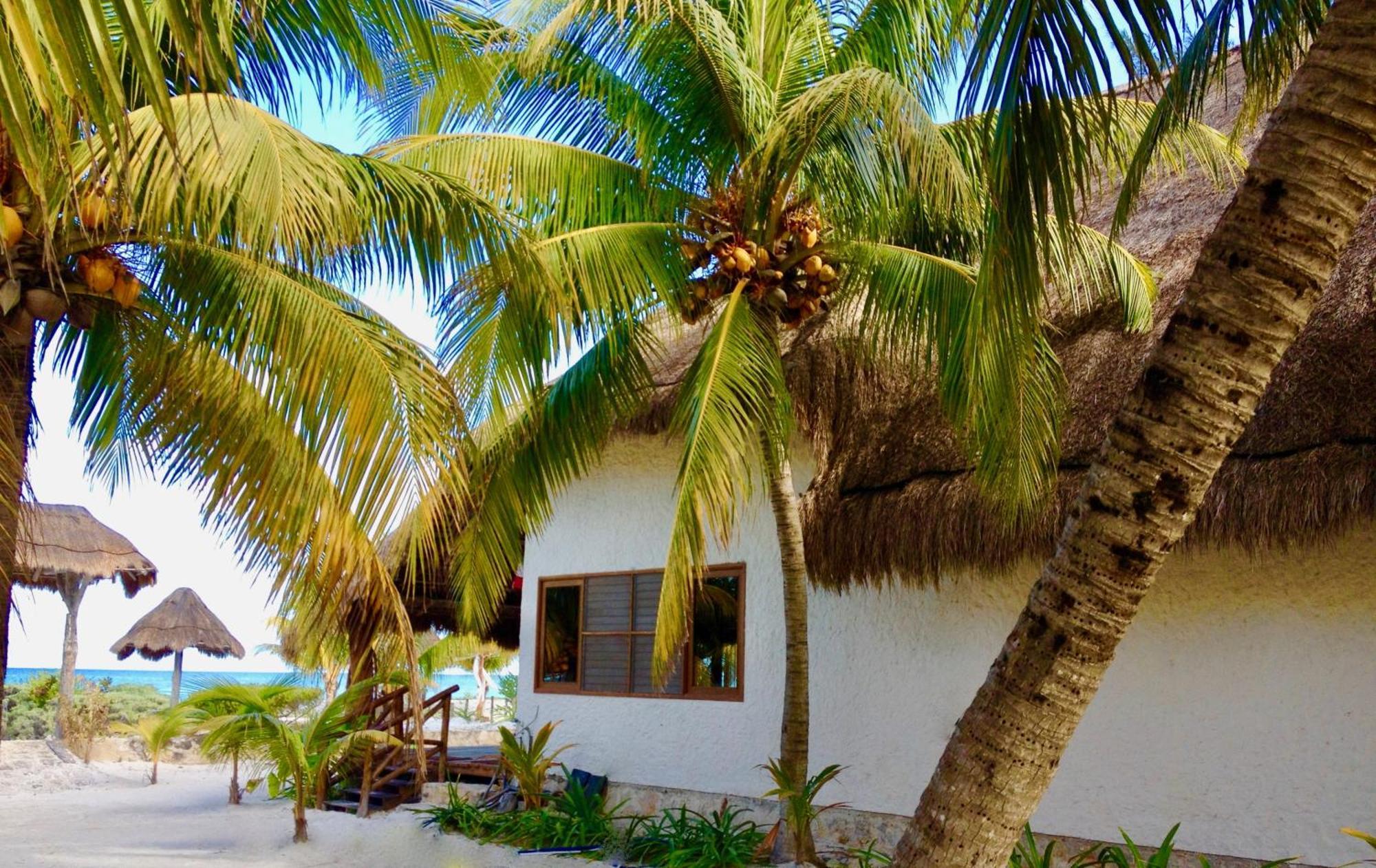 Hotel Palapas Del Sol Isla Holbox Pokój zdjęcie