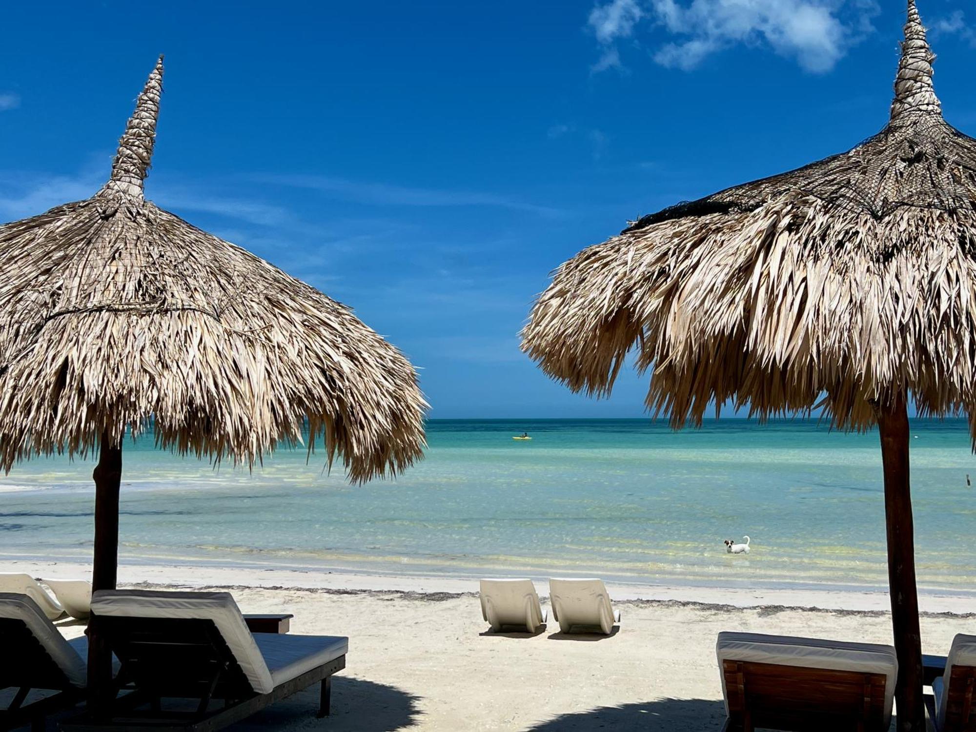 Hotel Palapas Del Sol Isla Holbox Zewnętrze zdjęcie