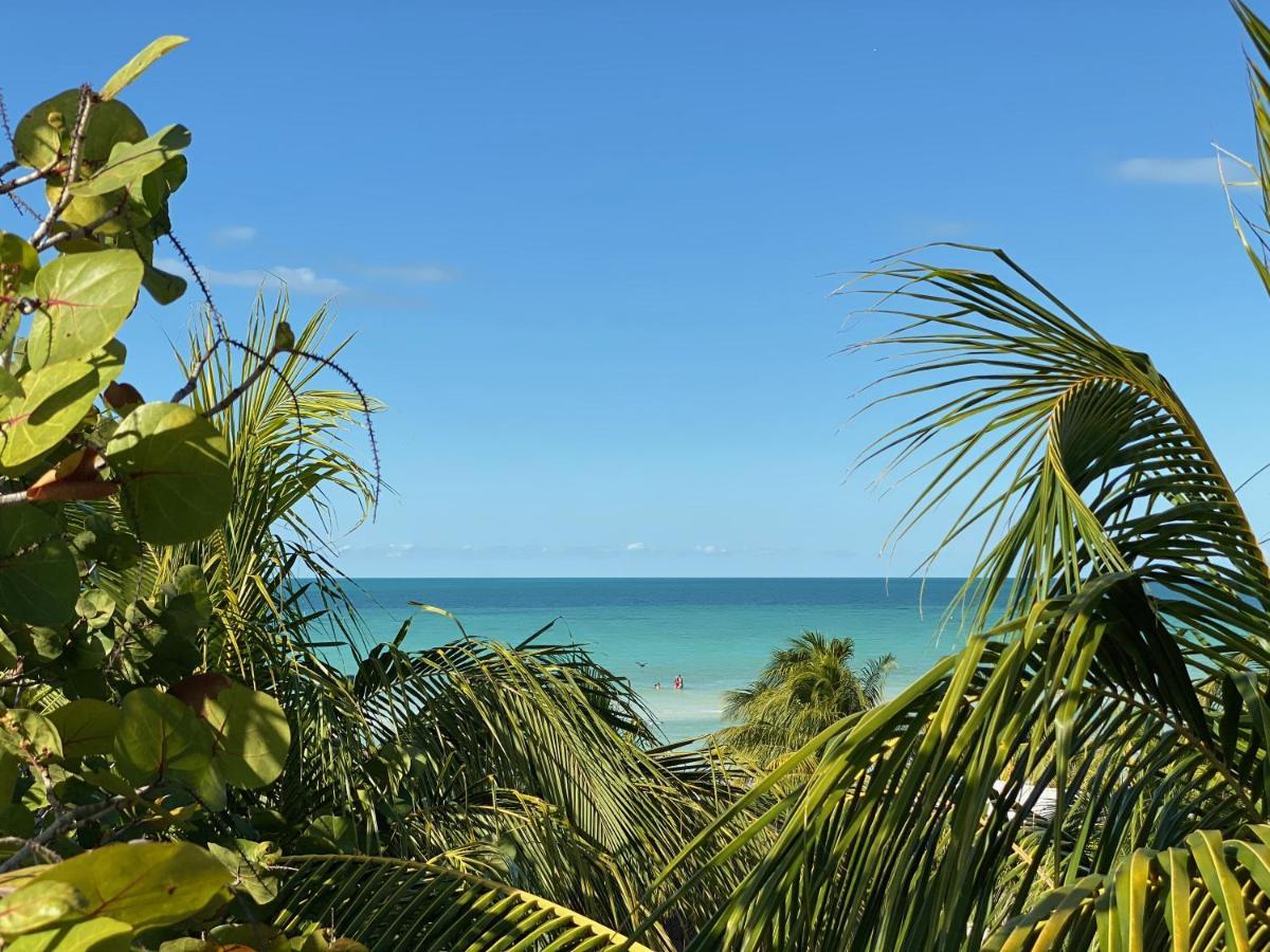 Hotel Palapas Del Sol Isla Holbox Zewnętrze zdjęcie